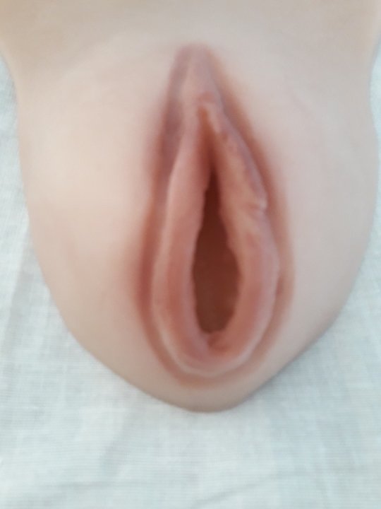 Vagina. Indlæg til din trusse med kanal til placering af penis. Du kan tisse med den på. Bestillingsvare